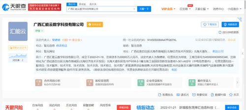 TCL跨界布局新能源，成立数字科技公司聚焦新兴能源技术研发